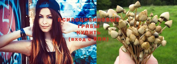 кокс Нефтекумск