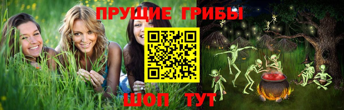 Галлюциногенные грибы GOLDEN TEACHER  Вход с VPN  Благовещенск  Псилоцибиновые грибы мухоморы 